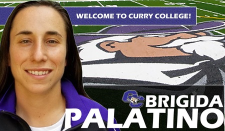 Palatino Named As Curry College Women's Soccer Head Coach